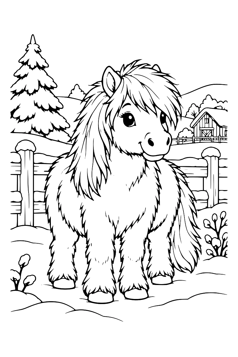 Poney Shetland au poil épais et à la crinière fournie, debout dans un pré enneigé près d’une clôture en bois.